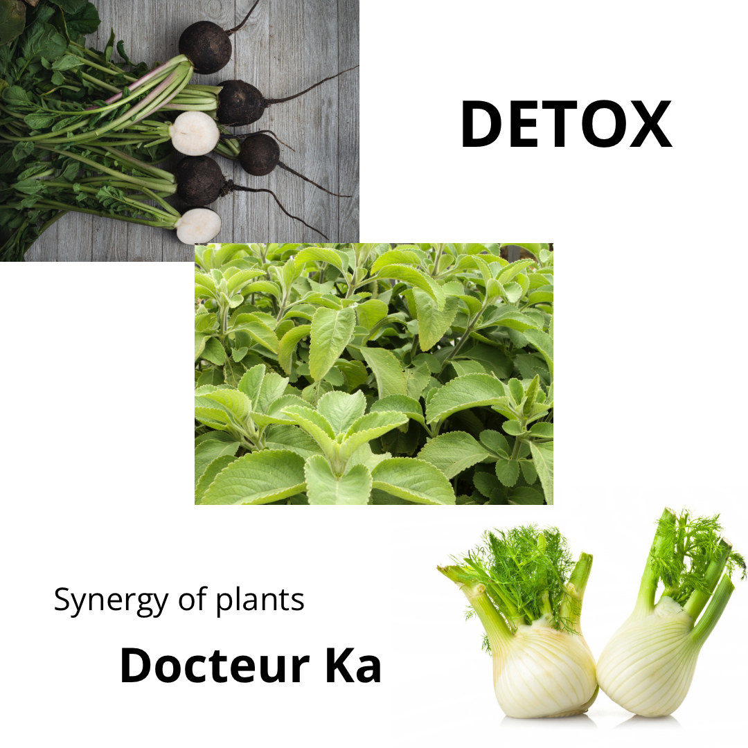 DETOX - Docteur Ka