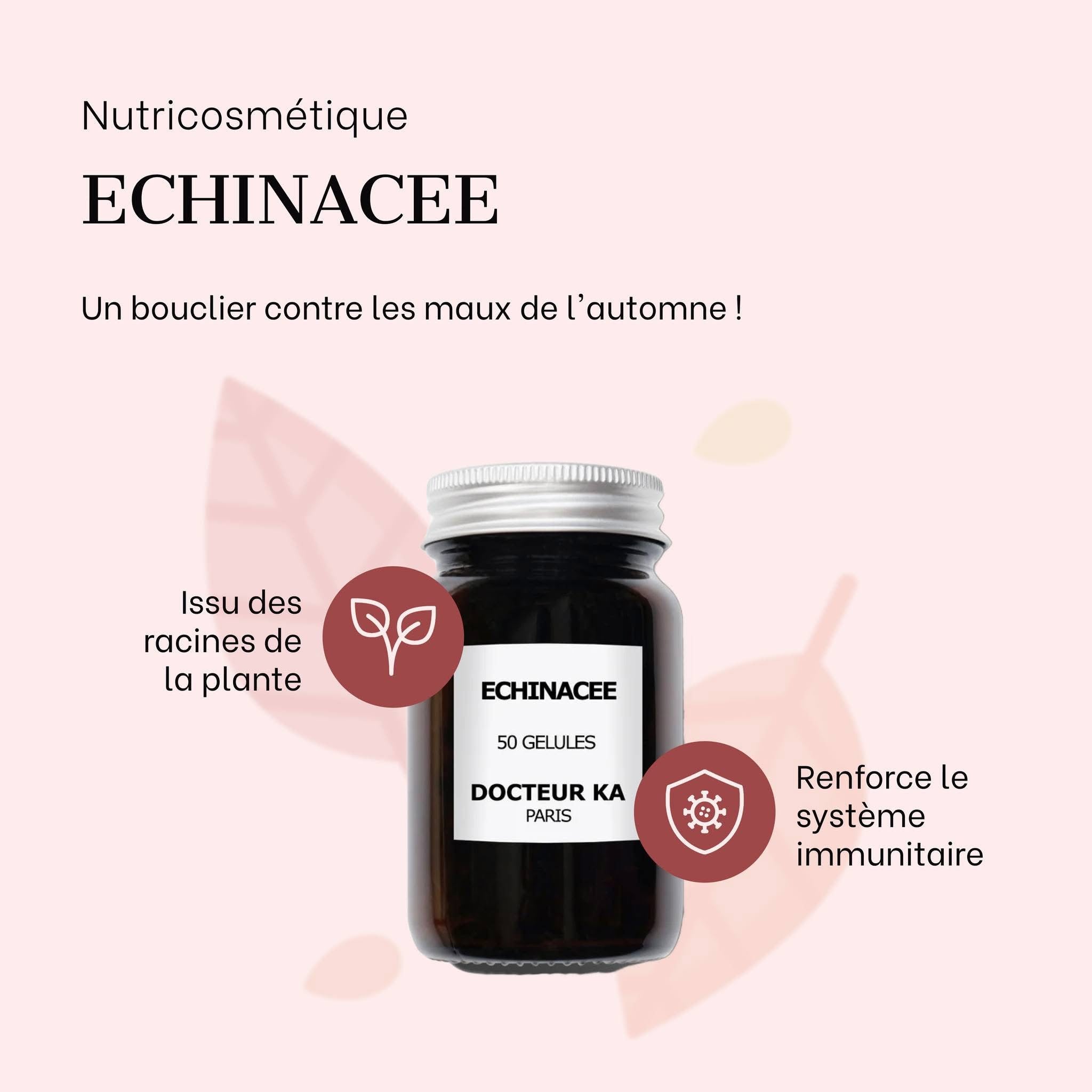 ECHINACEE - Docteur Ka